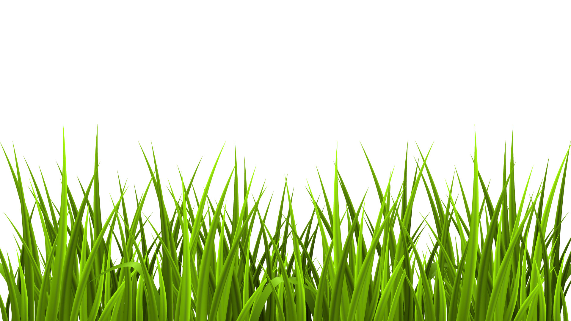 grass_revised_20150514